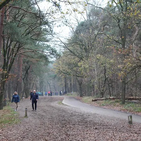 Campsite Het Smitske *