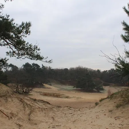 Het Smitske *
