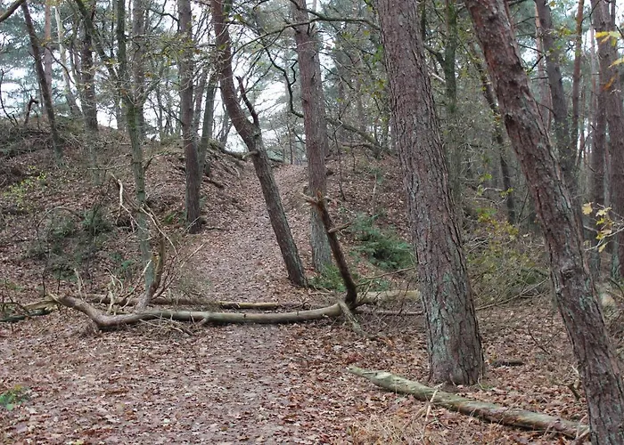 Het Smitske * Drunen